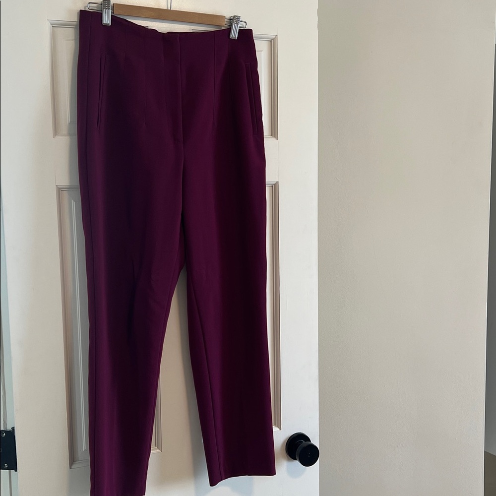 Zara Rich Plum Pants